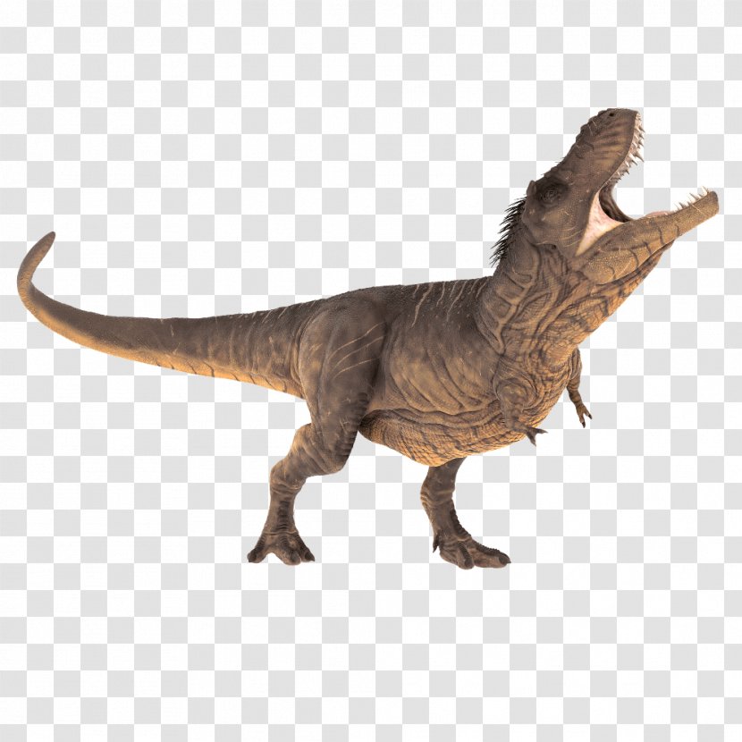 Dinosaur Velociraptor Triceratops Stegosaurus Tyrannosaurus Rex - Ta - Jurassic Park Transparent PNG