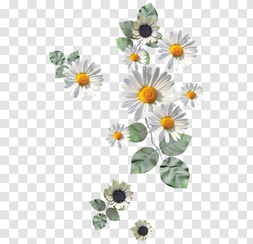 Flower Paper Drawing Icon - Arranging - Antique Jewelry Decorative Vector Transparent PNG