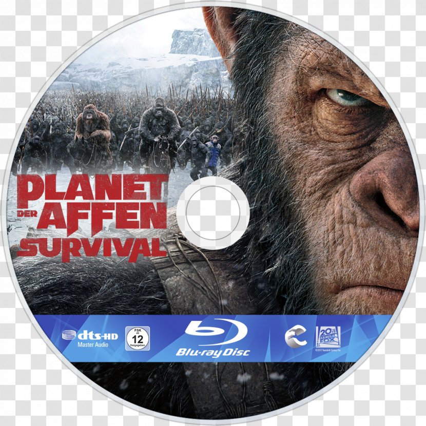 Blu-ray Disc Planet Of The Apes El Planeta De Los Simios Film - Rotten Tomatoes Transparent PNG