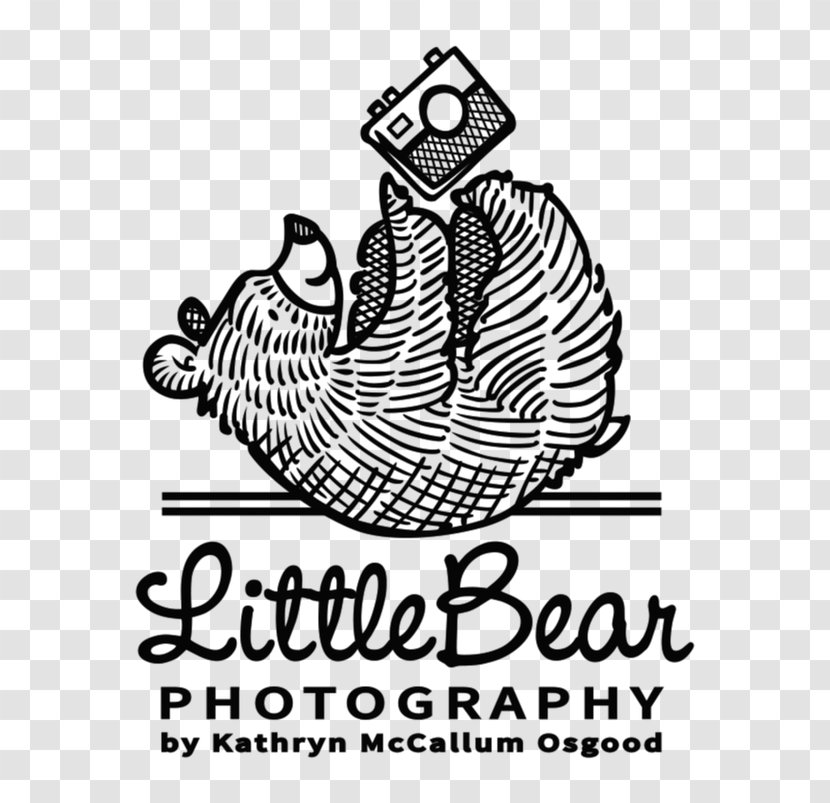 Visual Arts Logo Mammal Clip Art - Brand - Chicago Bears Transparent PNG