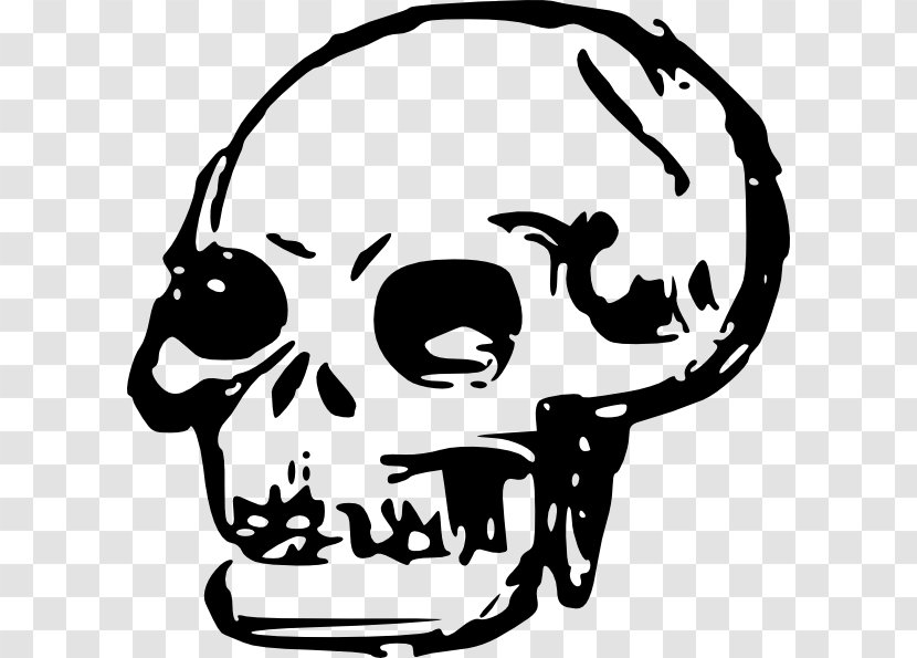 Skull Clip Art - Line Transparent PNG