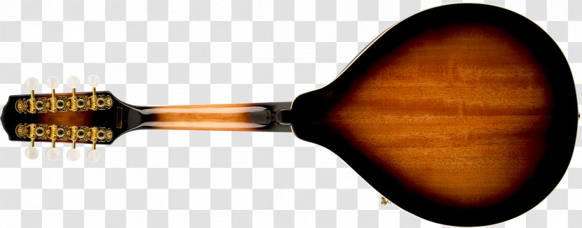 Mandolin Brazil String Phosphor Bronze Tuning Peg - Bridge - Ebony Transparent PNG