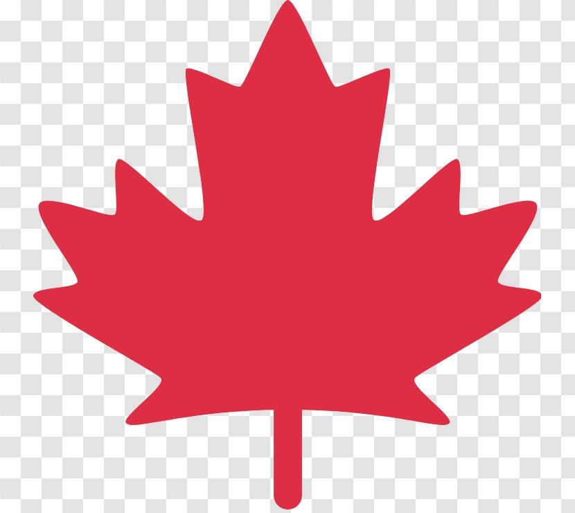 Canada Maple Leaf - Plant - Plane Transparent PNG