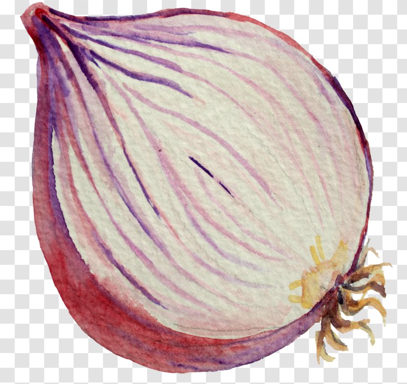 Red Onion Commodity Transparent PNG