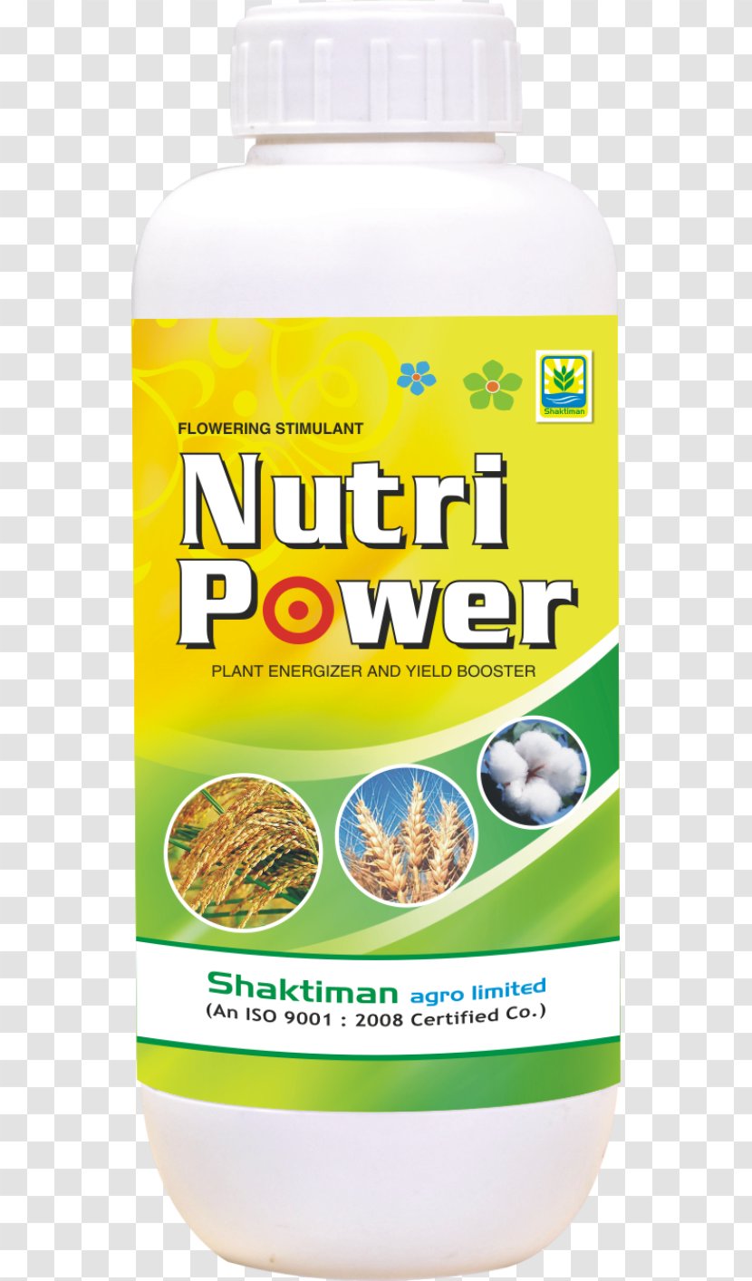 Superfood Flavor - Shaktiman Transparent PNG
