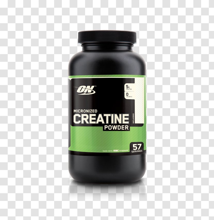 Dietary Supplement Creatine Nutrition Bodybuilding Gainer - Sports - Maximal Transparent PNG