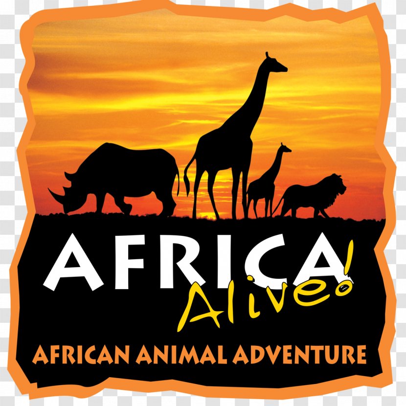 Africa Alive! Lowestoft Walk For Wildlife - Orange - Morning Event WE’RE GOING ON A MINIBEAST HUNT! @ Alive ZooZoo Keeper Transparent PNG