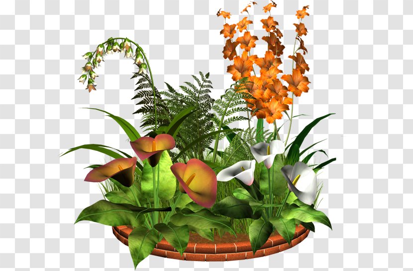 Floral Design Flowerpot - Plant Transparent PNG
