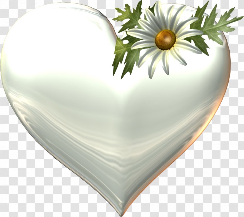 Heart - Color - Pin Transparent PNG