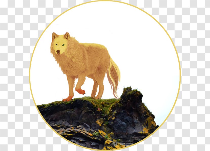 Canidae Cat Dog Mammal Wildlife - Like Transparent PNG