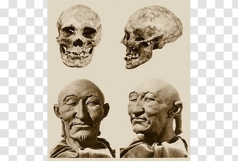 Attila Pannonian Avars Huns Khanate Anthropology - Skull Transparent PNG