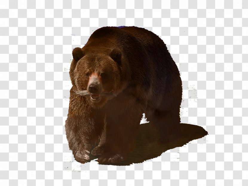 Grizzly Bear Book Of Daniel Prophecy End Time Transparent PNG