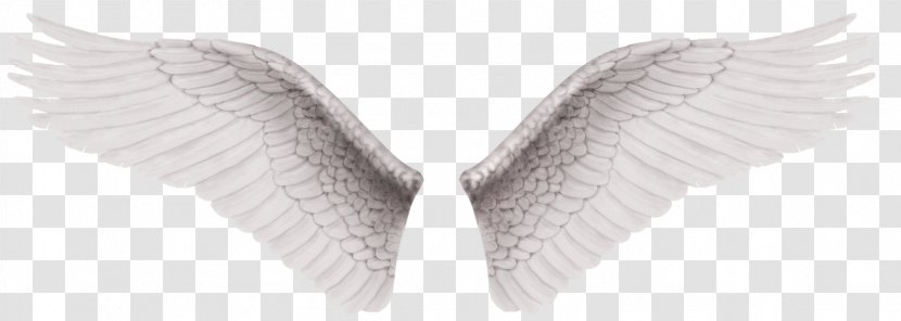 Angel Drawing Clip Art - Shoe Transparent PNG