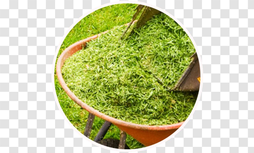 London Borough Of Ealing Kew Longjing Tea Chiswick Responsive Web Design - GRASS ROOF Transparent PNG