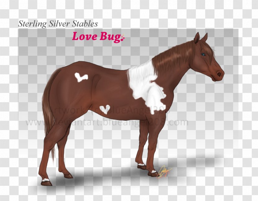 Stallion Mustang Halter Mare Pony - Horse Harness - Point Of Sale Transparent PNG