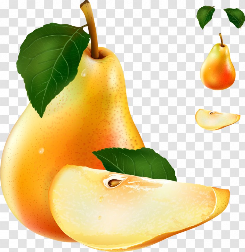 Pyrus Xd7 Bretschneideri Auglis Stock Photography Illustration - Vector Pears Transparent PNG