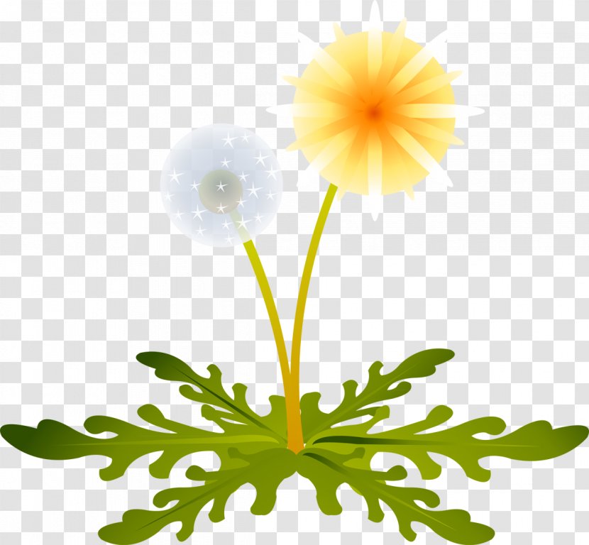 Dandelion LiveInternet Clip Art - Chrysanthemum Transparent PNG
