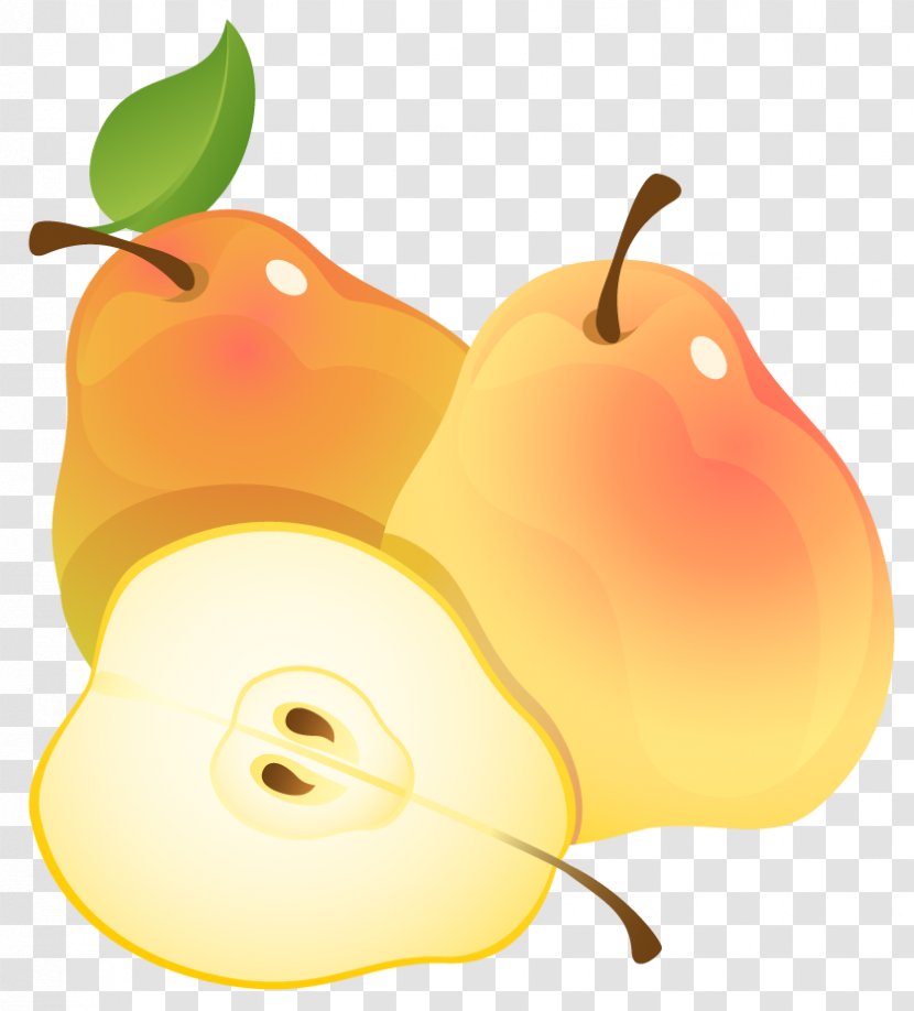 Pear Fruit Clip Art - Illustration - Large Painted Pears Clipart Transparent PNG