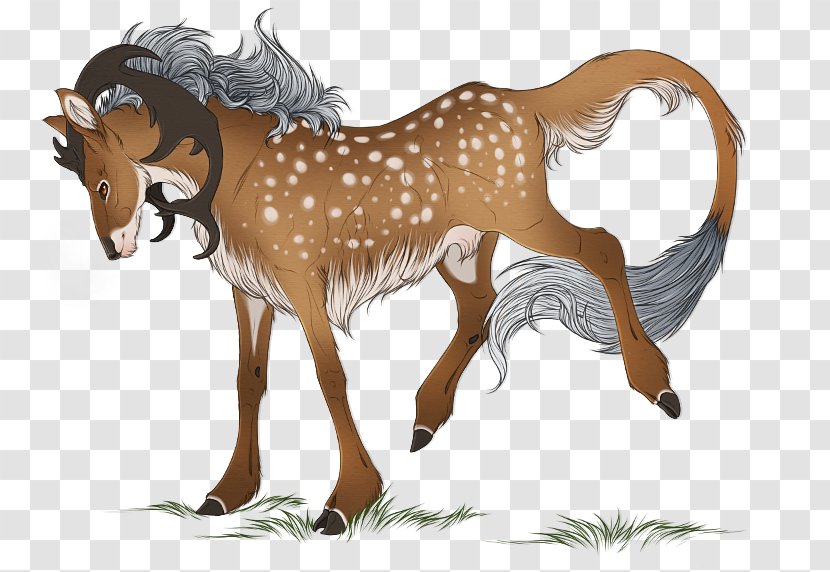 Mustang Illustration Pack Animal Fauna Cartoon - Fawn Calling Mom Transparent PNG