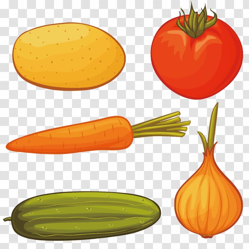 Carrot Onion Drawing Royalty-free - Vector 5 In The Vegetables Transparent PNG