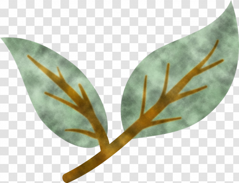 Leaf Biology Plants Plant Structure Science Transparent PNG