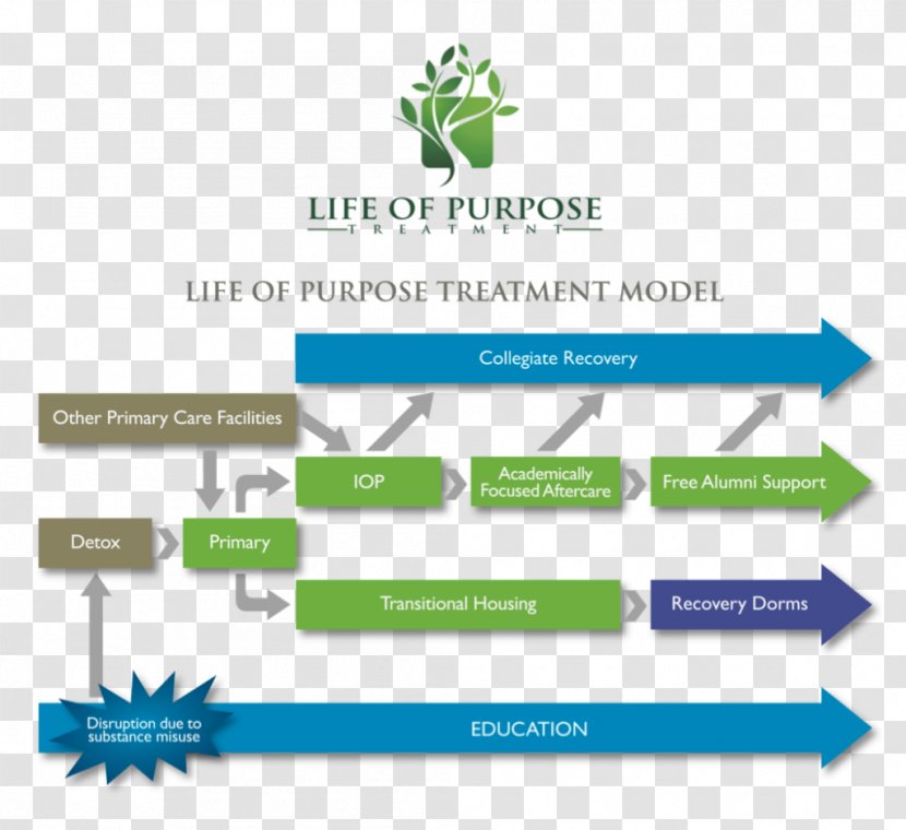 Health Care Drug Rehabilitation Medication Therapy Management Substance Use Disorder - Intensive Outpatient Program - Organizational Framework Transparent PNG