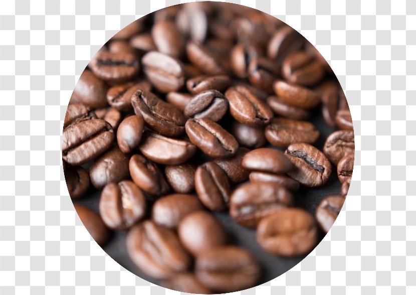 Single-origin Coffee Espresso Cafe Bean Transparent PNG