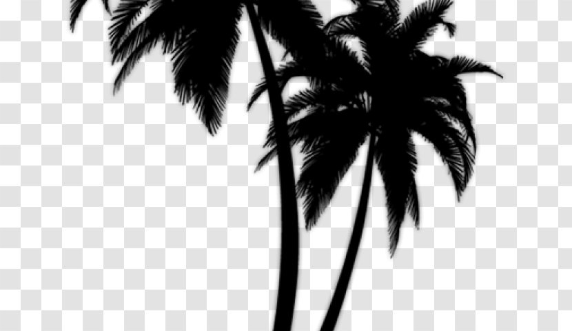 Palm Trees Clip Art Transparency Vector Graphics - Black - Tree Silhouette Transparent PNG