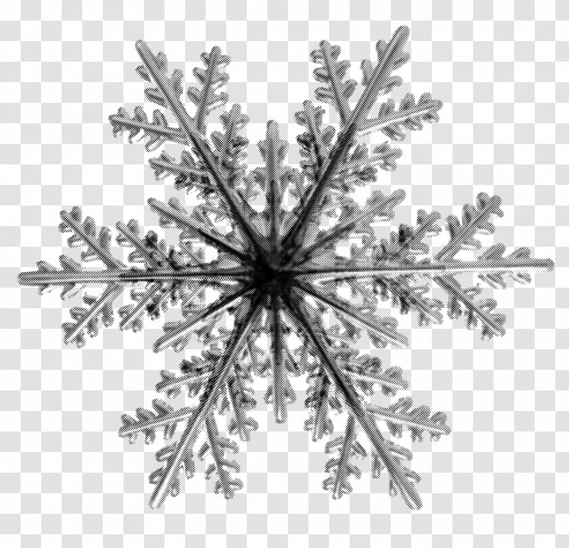 Snowflake Child - Rain Transparent PNG