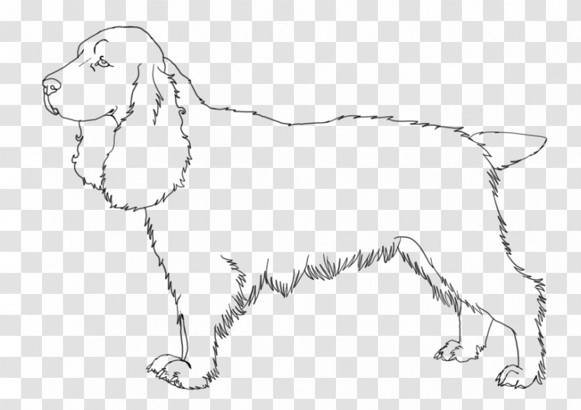 Dog Breed Puppy Field Spaniel English Springer Welsh - Hunting Transparent PNG