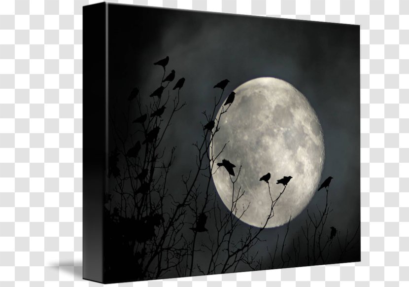 Imagekind Art Picture Frames Poster Moon - Printing - Full Day Of Tabaung Transparent PNG