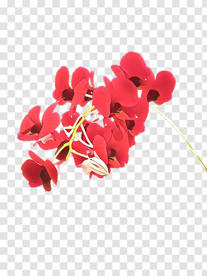 Red Flower Petal Plant Leaf Transparent PNG