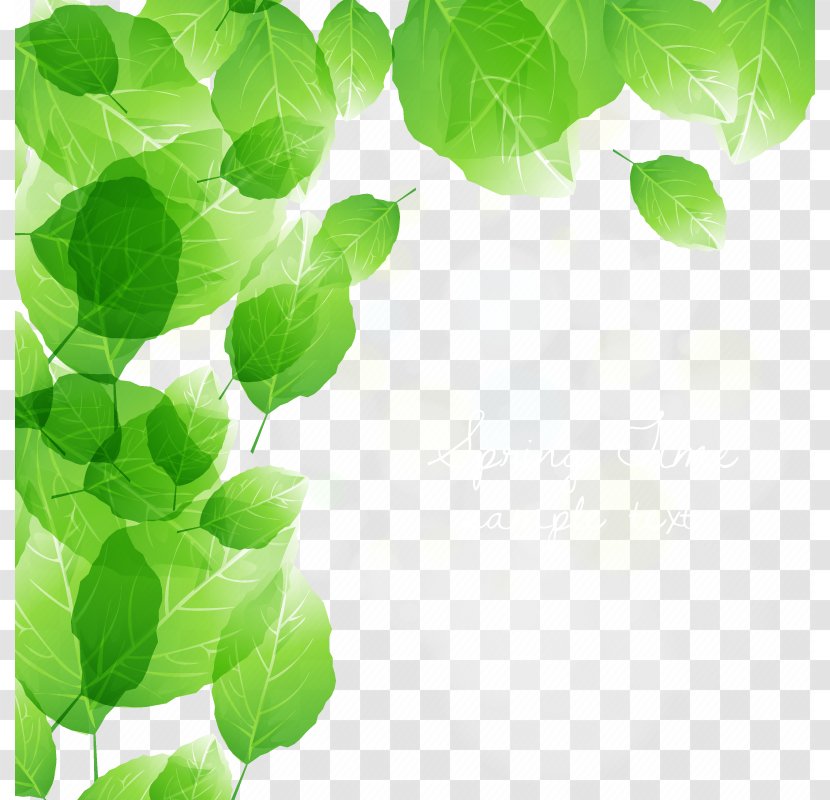 Vector Green Leaf - Cleaning Transparent PNG