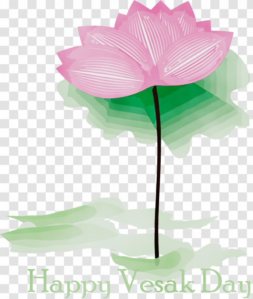 Lotus Transparent PNG