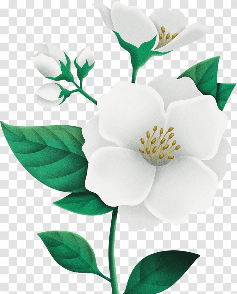 Moisturizer Skin Lotion Oil Cleanser - Cut Flowers - Watercolor Camellia Transparent PNG