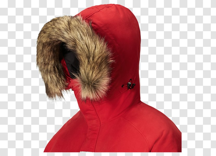 Fur Neck - Clothing Transparent PNG