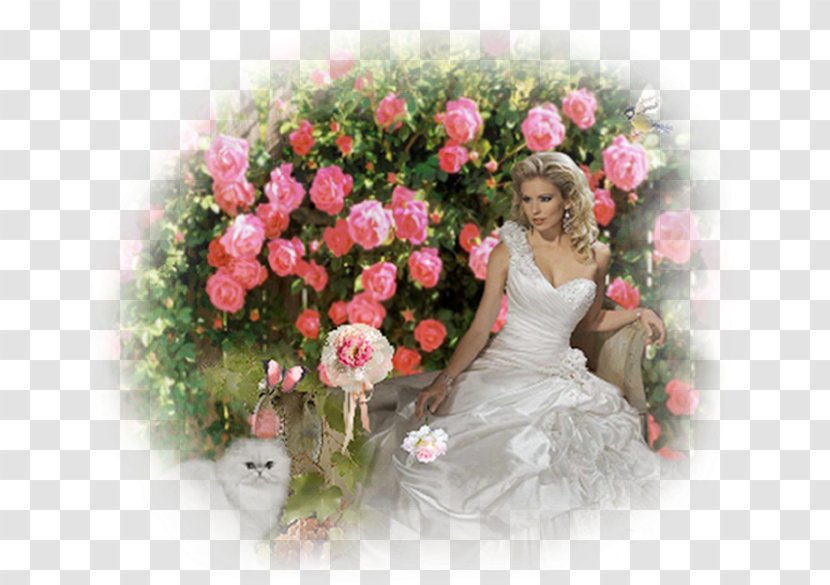 Garden Roses Buchete.ro Cut Flowers Floral Design - Cabbage Rose - Flower Transparent PNG