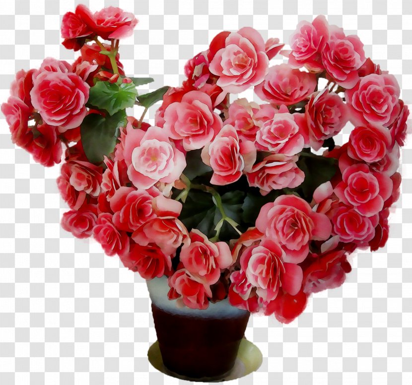 Garden Roses Cabbage Rose Floribunda Floral Design Cut Flowers - Bouquet - Plant Transparent PNG
