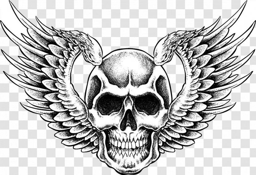 Human Skull Drawing - Emblem - Blackandwhite Jaw Transparent PNG