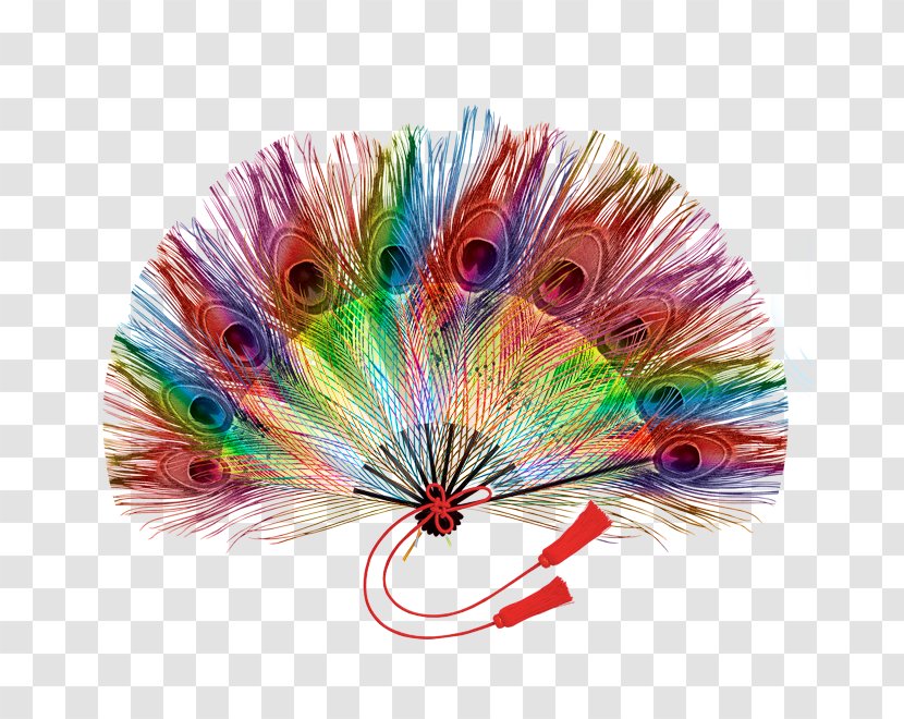 Feather Peafowl - Rgb Color Model - Peacock Fan Son Transparent PNG