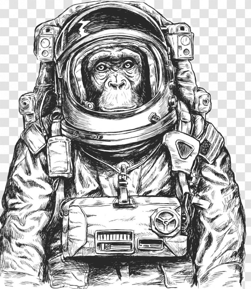 Chimpanzee Monkeys And Apes In Space - Black White - Astronaut Vector Transparent PNG