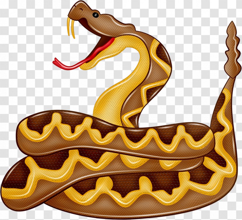 Boa Constrictor Snake Reptile Royalty-free Clip Art - Stock Photography Transparent PNG