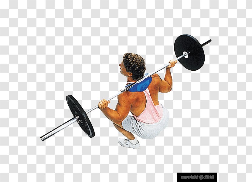 Squat Barbell Shoulder Trapezius Exercise - Cartoon - Gym Squats Transparent PNG