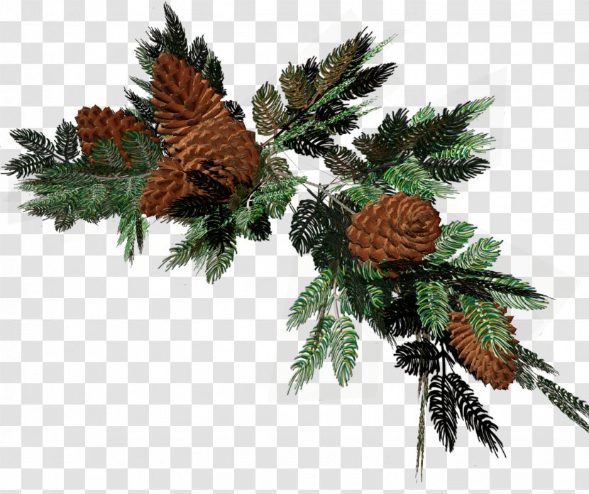 Fir Pine Ded Moroz Christmas Decoration - Wreath Transparent PNG