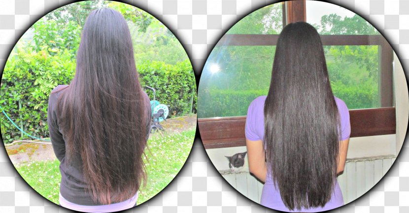 Chestnut Hair Coloring Long Henna - Purple Transparent PNG