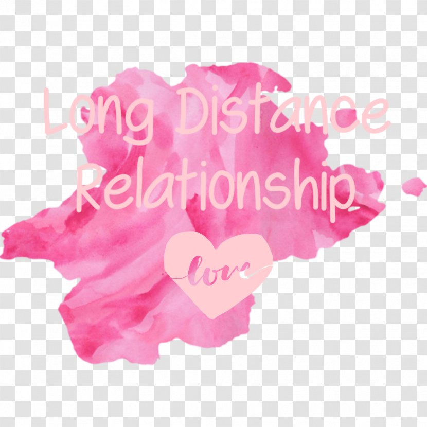 Pink M Font - Petal - Long Distance Relationship Transparent PNG