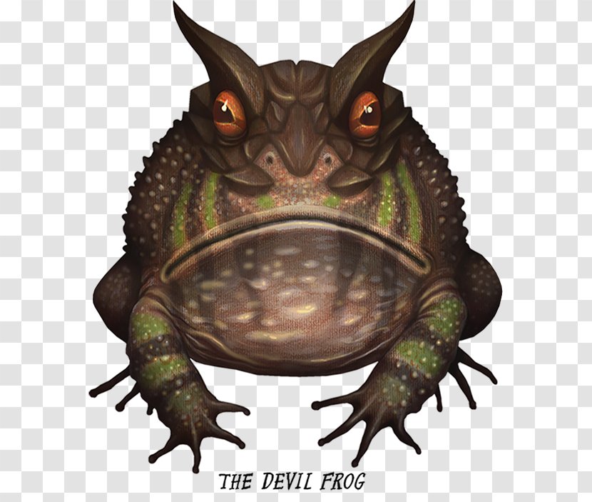 Devil Frog Drawing - Crazy Monster Frogs - Nature Sea Animals Marine Microorganisms Transparent PNG