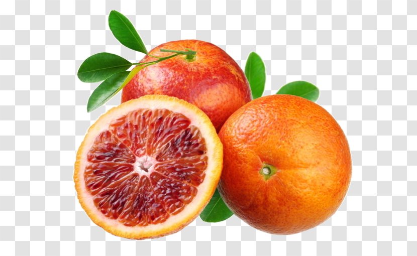 Fizzy Drinks Citron Soda Syphon Blood Orange - Tangelo Transparent PNG