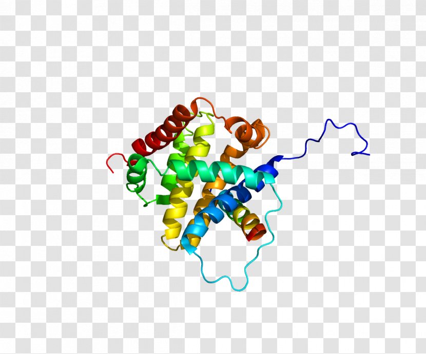BCL2L11 Bcl-2 Family BCL2-like 1 Protein - Flower Transparent PNG