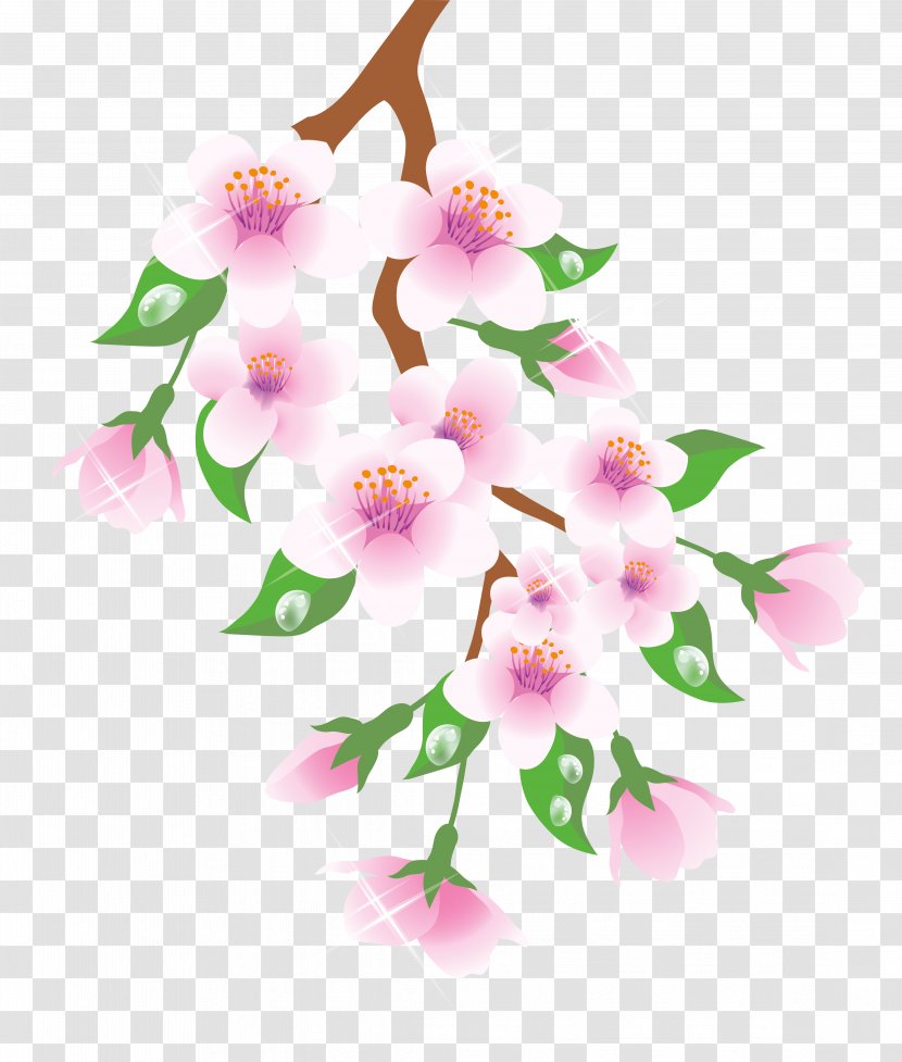 Branch Flower Clip Art - Cherry Blossom - Flowering Cliparts Transparent PNG